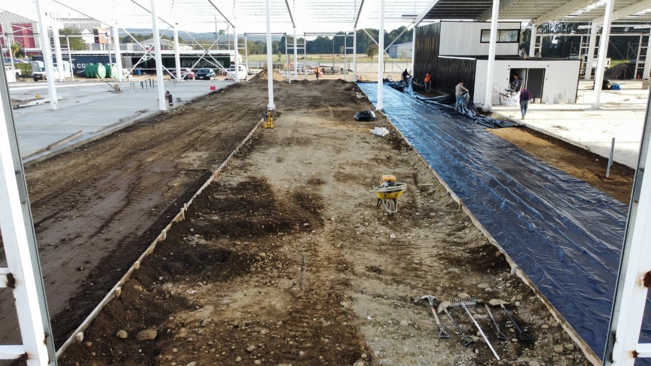 Avance de construcción del galpón industrial, imagen 2 de 43