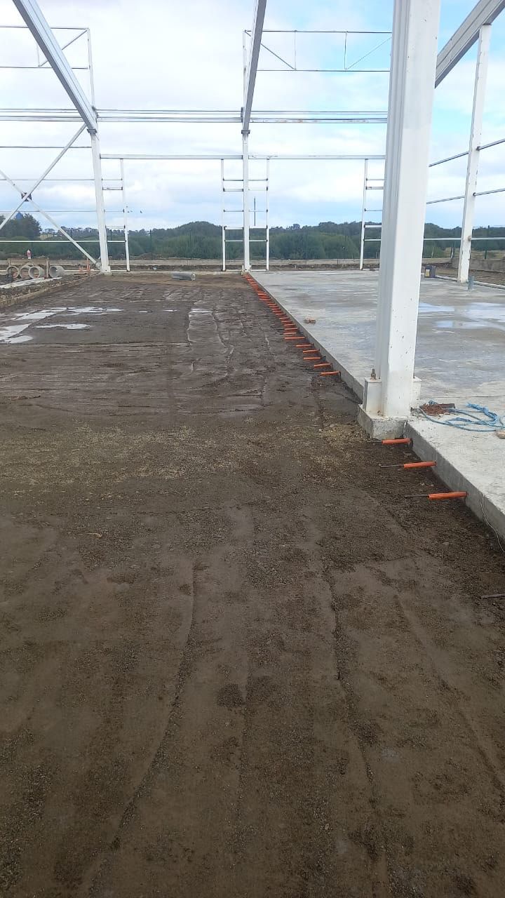 Avance de construcción del galpón industrial, imagen 12 de 43